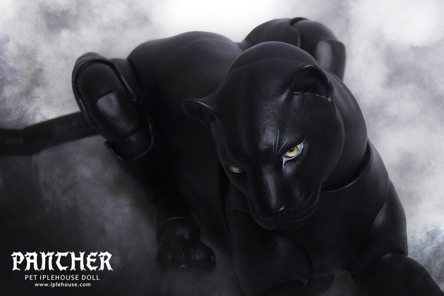 ITEM VIEW : - Panther
