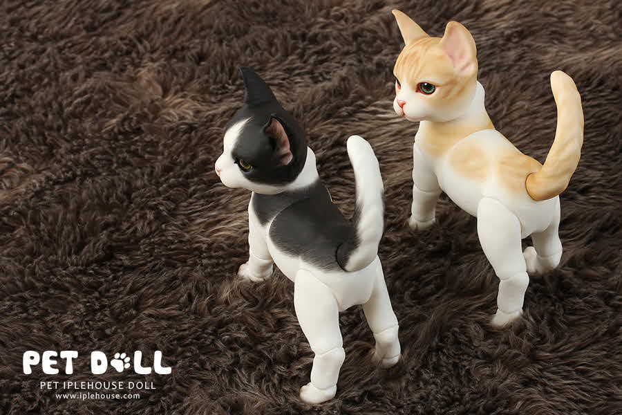 Hot Selling iplehouse Cat-Cheesy 1/8 SD BJD Pet Doll Resin Material Mini Toy 